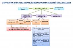 Структура и органы управления образовательной организации